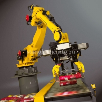 Робот паллетоукладчик R-2000iB/100H